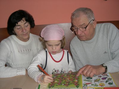 Obrázek