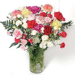obrázek - carnation_flower_bouquets(1).jpg