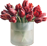 obrázek - tulipany(4).gif